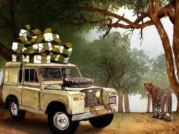 Bringing the Safari to You this Valentines Day