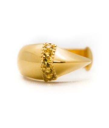 It's All in the Details: the Big Cat Claw ring